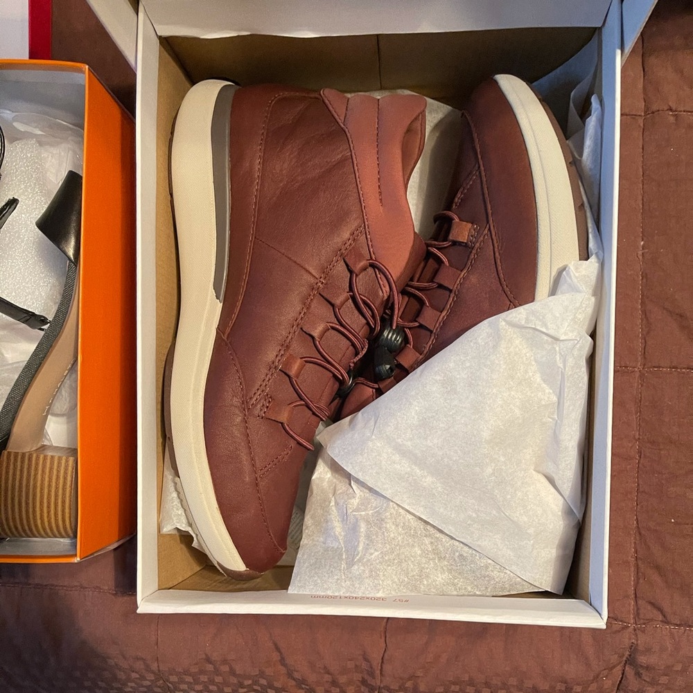 Clark boots